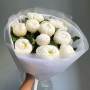 11 белых пионов фото 4